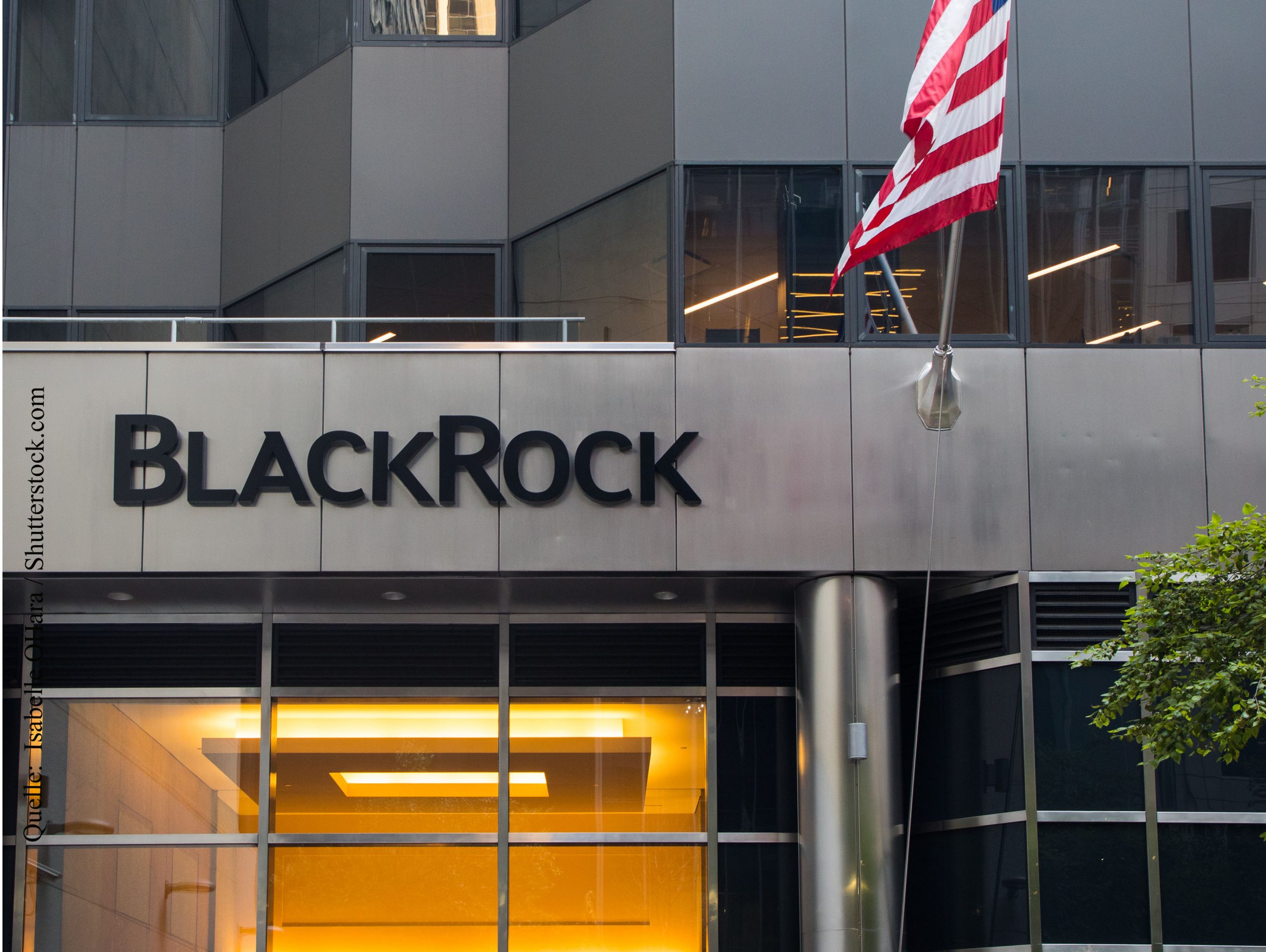 Blackrock активы. Blackrock. Инвестиционные компании Blackrock. Blackrock штаб квартира. Blackrock директор.